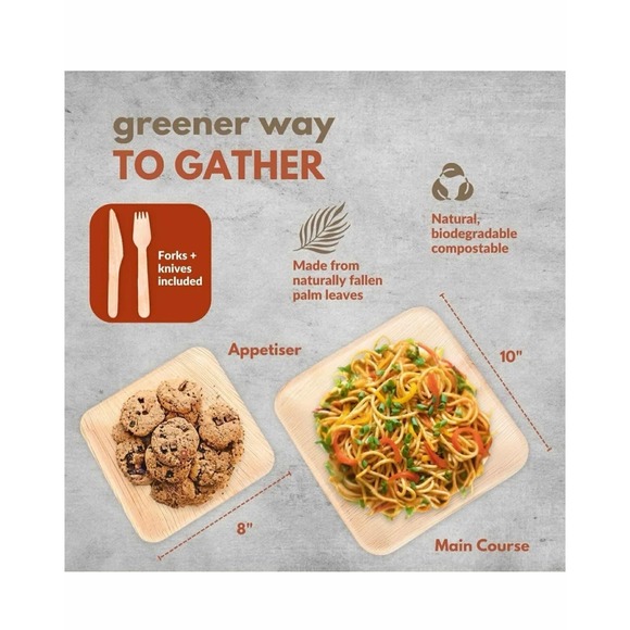 Raj Eco Compostable Palm Leaf Plates like Bamboo Plates Disposable - 8 Inch Squr - Picture 5 of 10